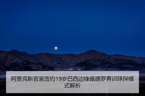 阿贾克斯官宣签约19岁巴西边锋佩德罗青训球探模式解析